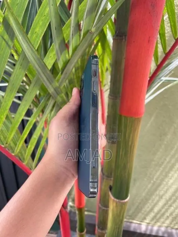 Apple iPhone 12 Pro (Used)