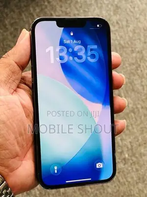 Apple iPhone 13 Pro (Used)