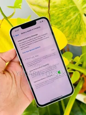 Apple iPhone 14 (Used)
