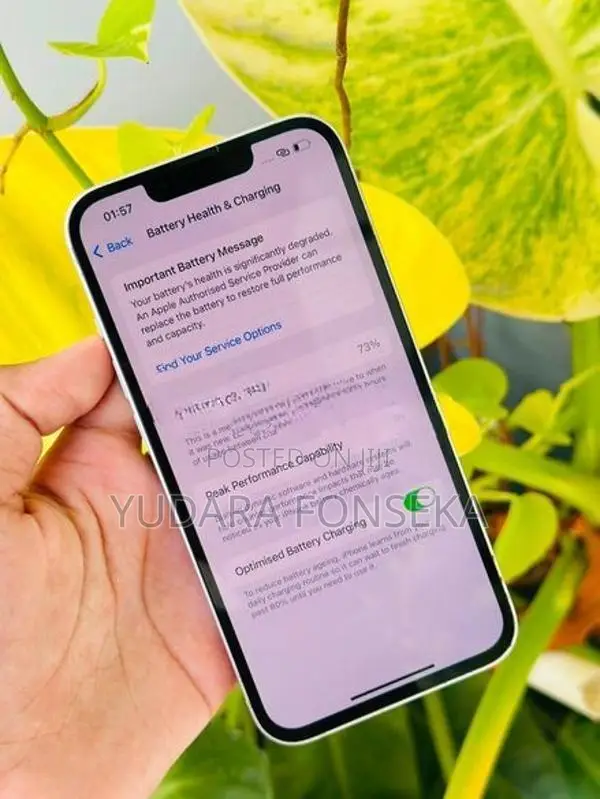 Apple iPhone 14 (Used)