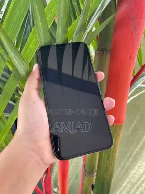 Apple iPhone 12 Pro (Used)