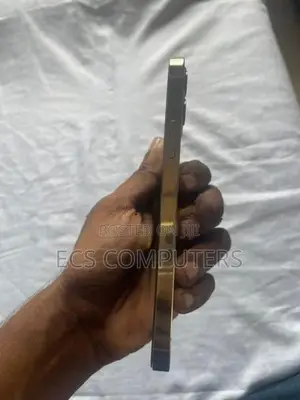 Apple iPhone 12 Pro (Used)