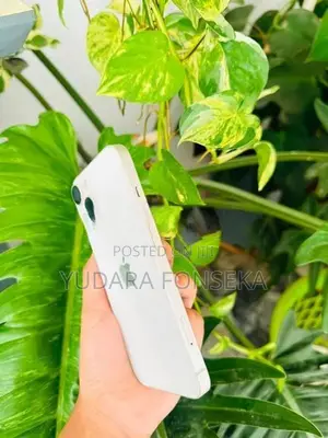 Apple iPhone 14 (Used)