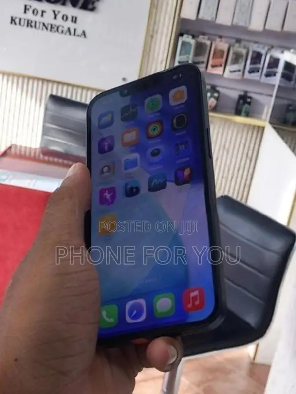 Apple iPhone 13 (Used)