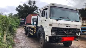 Tata 10 2010 Heavy-Duty (Used)