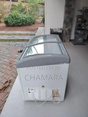Singer Freezer