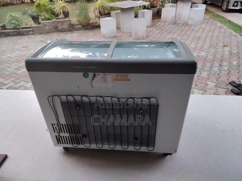 Singer Freezer