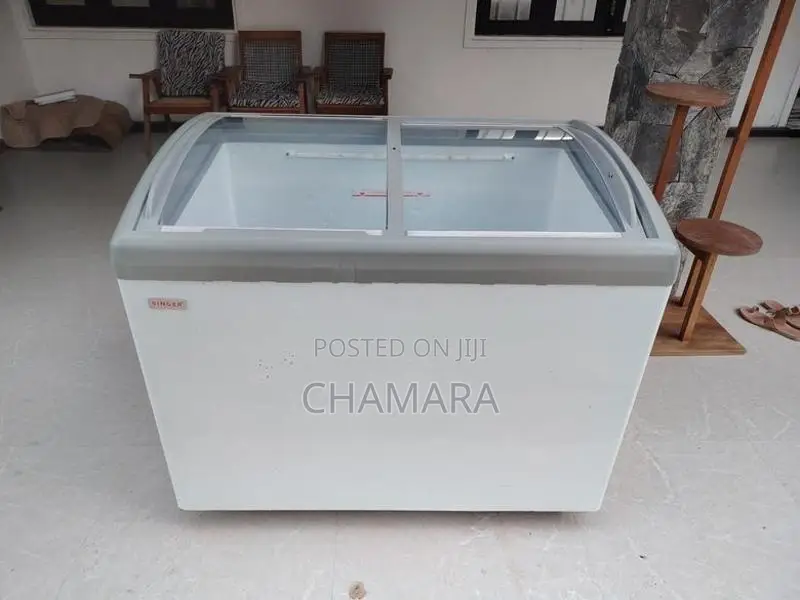 Singer Freezer