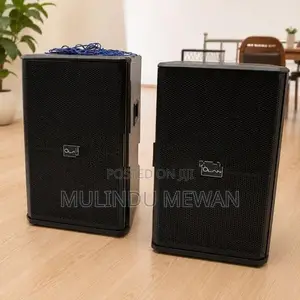 OLAN Professional Active with Passive Speaker Set Mike