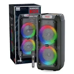Brodu BTS-2173 Bluetooth karaoke Speaker