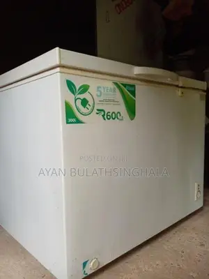 Abans 300L Freezer