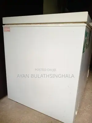 Abans 300L Freezer