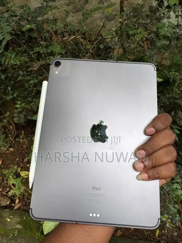 256Gb Sim version