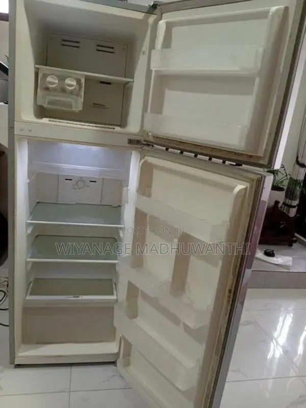 Singer GEO Refrigerator - 2 Doors, 225L (Silver)