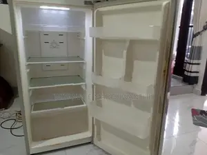 Singer GEO Refrigerator - 2 Doors, 225L (Silver)