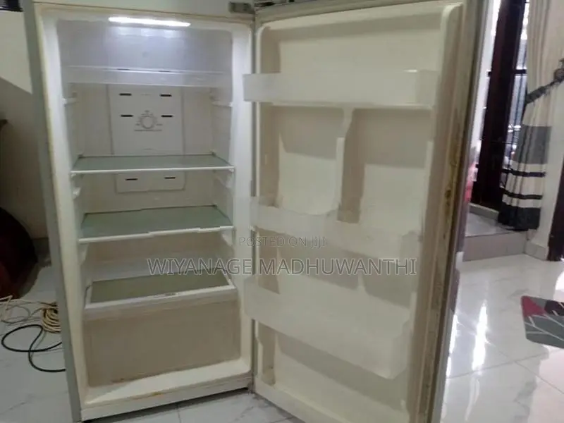 Singer GEO Refrigerator - 2 Doors, 225L (Silver)