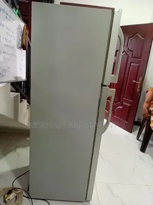 Singer GEO Refrigerator - 2 Doors, 225L (Silver)