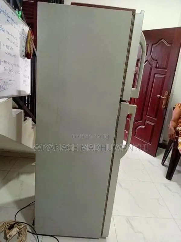 Singer GEO Refrigerator - 2 Doors, 225L (Silver)