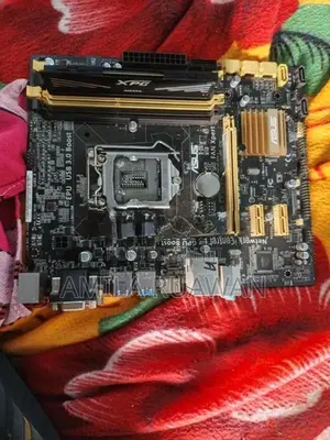 Computer Accessories