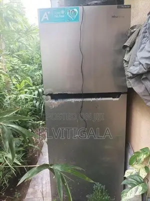 FRIDGE BODY