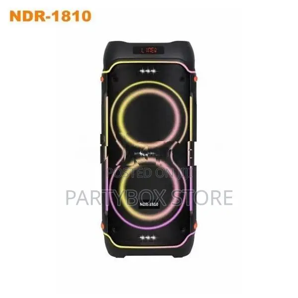 NDR 1810 High Power Outdoor Dual 10' Party Speakers (100W)