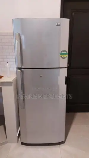 LG Refrigerator (Inverter)