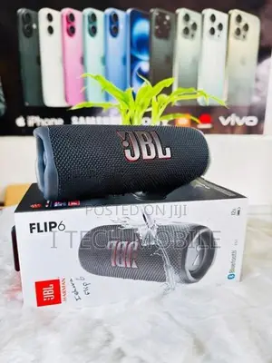 JBL Flip 6