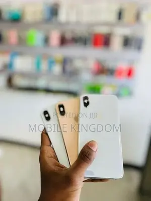 Apple iPhone XS Max 256GB Fullset Box (Used)