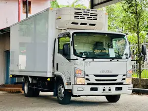 Isuzu ELF Frezzer Truck 15.5 2019 Lorry (Used)