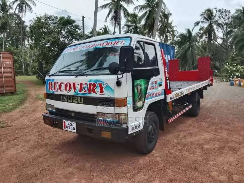 Isuzu Elf 1993 Lorry (Used)