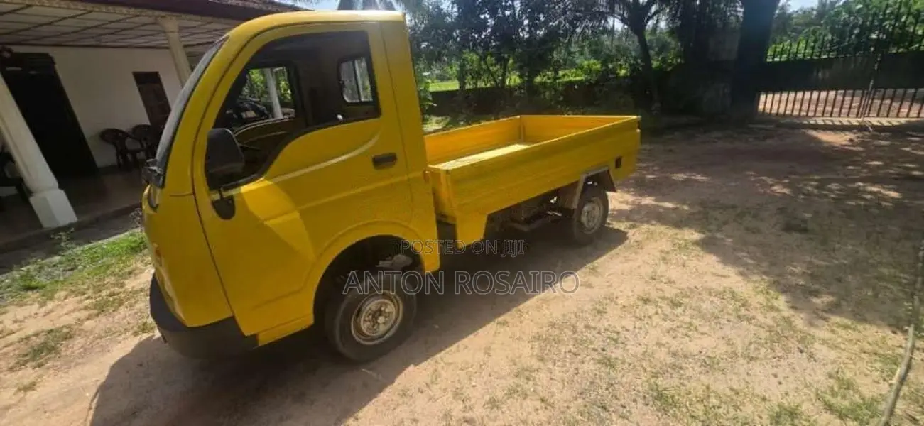 Tata Dimo Batta 2010 Lorry (Used)
