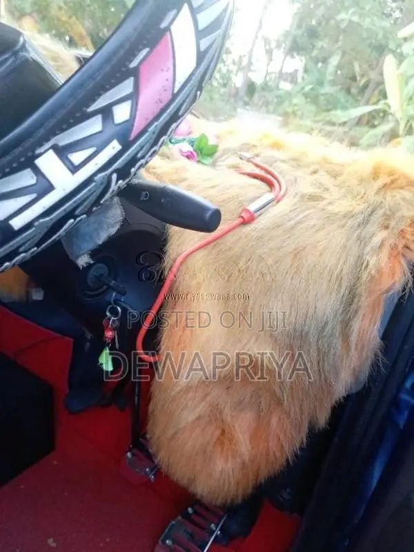 Tata Dimo Batta 2013 Lorry (Used)