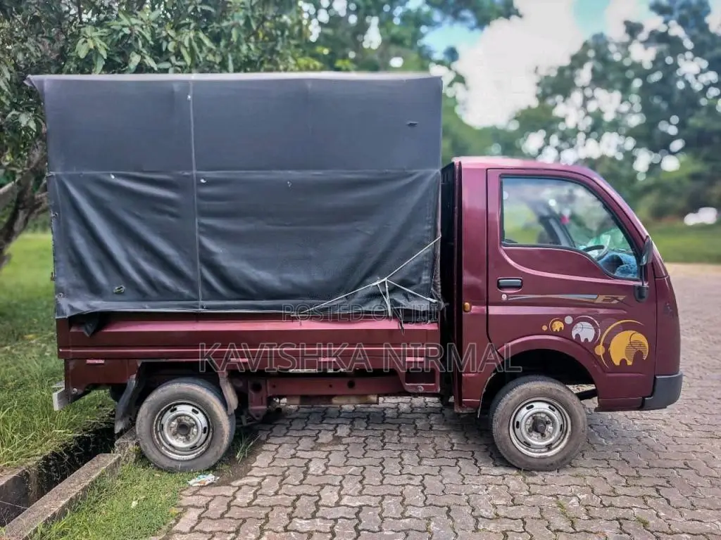 Tata Dimo Batta ACE 2013 Lorry (Used)