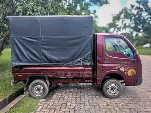 Tata Dimo Batta ACE 2013 Lorry (Used)