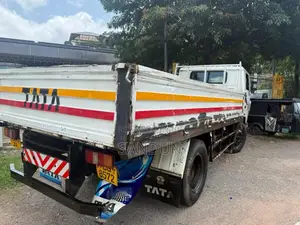 Tata 1109 2009 Lorry (Used)