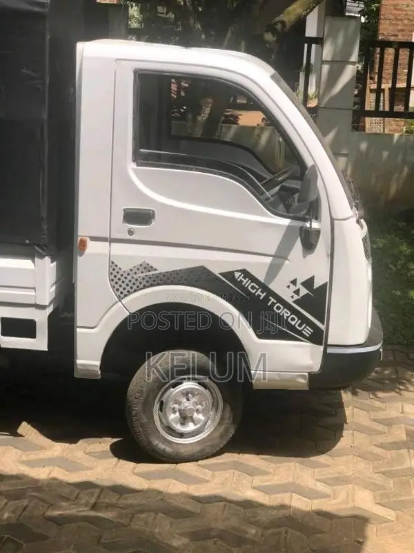 Tata Dimo Batta 2007 Lorry (Used)