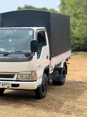 Isuzu ELF 1995 Lorry (Used)