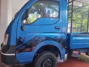Tata Dimo Batta ACE 2019 Lorry (Used)