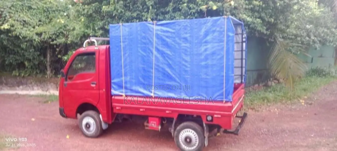 Tata Dimo Batta 2010 Lorry (Used)