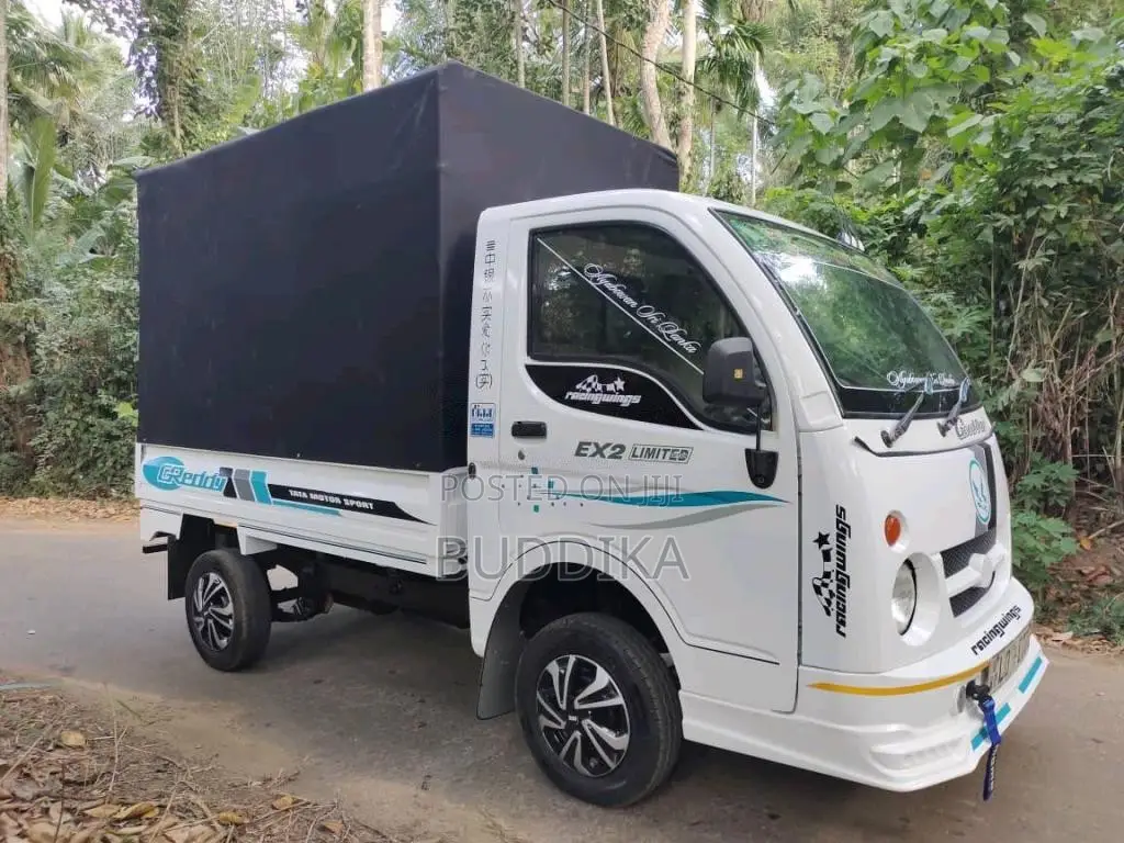 Tata Dimo Batta 2006 Lorry (Used)