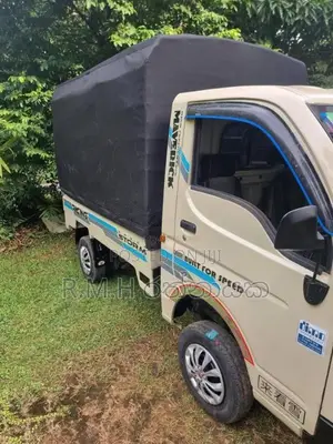 Tata Dimo Batta 2011 Lorry (Used)
