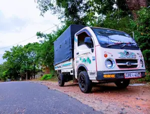 Tata Dimo Batta Ace 2011 Lorry (Used)