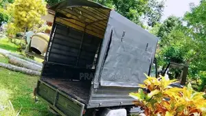 Piaggio Gio 2013 Lorry (Used)
