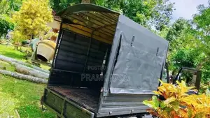 Piaggio Gio 2013 Lorry (Used)