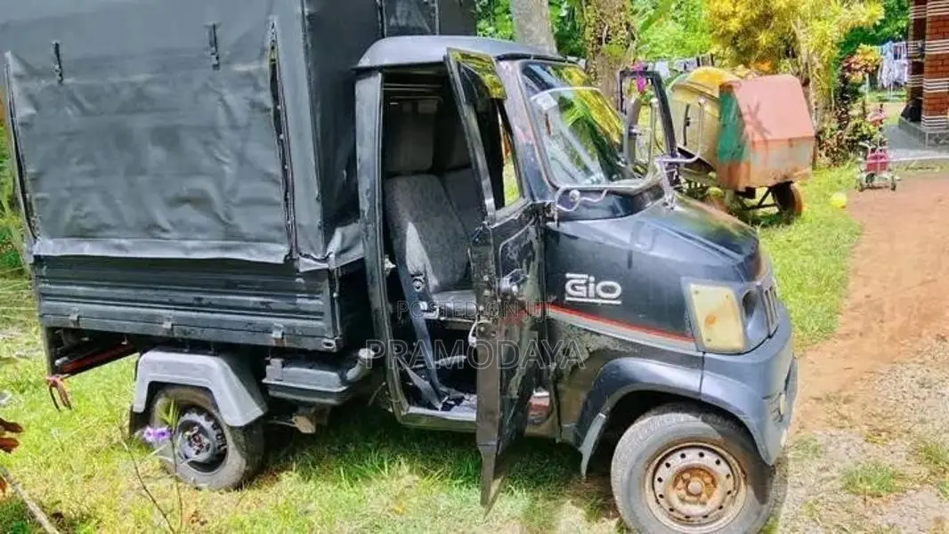 Piaggio Gio 2013 Lorry (Used)
