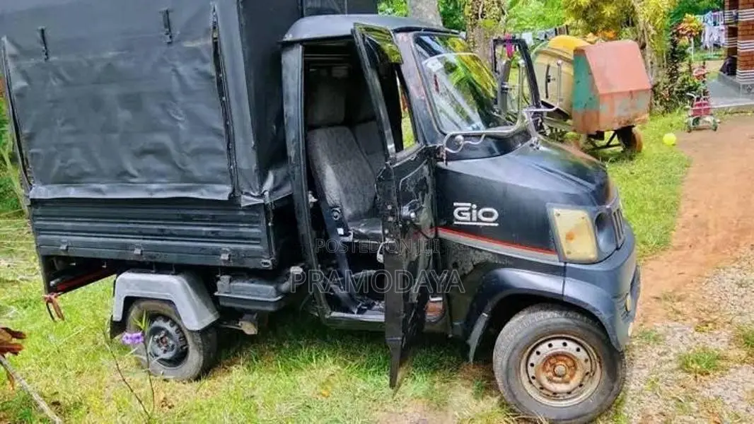 Piaggio Gio 2013 Lorry (Used)