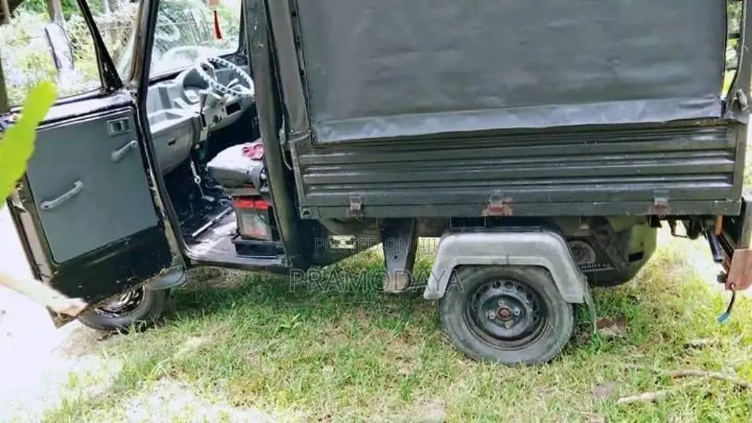 Piaggio Gio 2013 Lorry (Used)