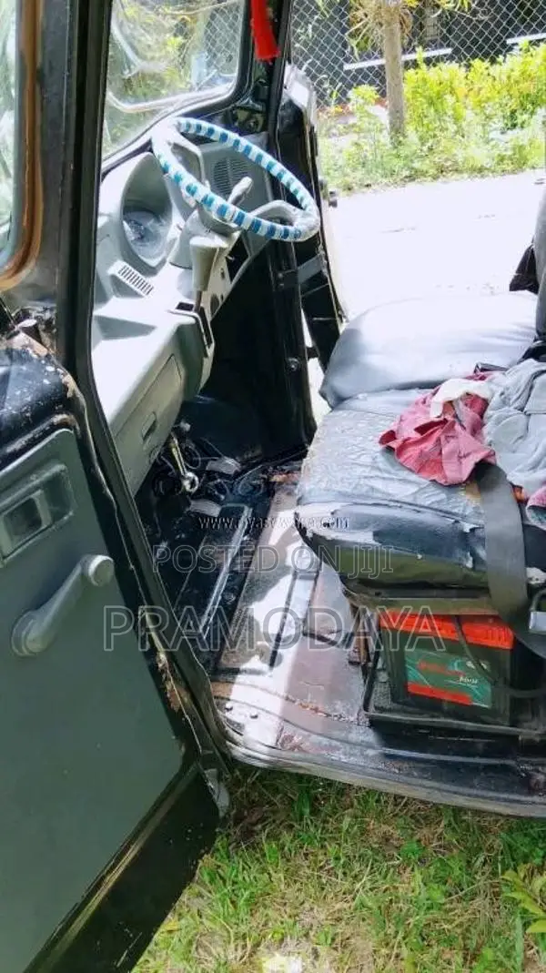 Piaggio Gio 2013 Lorry (Used)