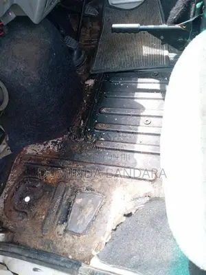 Tata Dimo Batta ACE 2006 Lorry (Used)