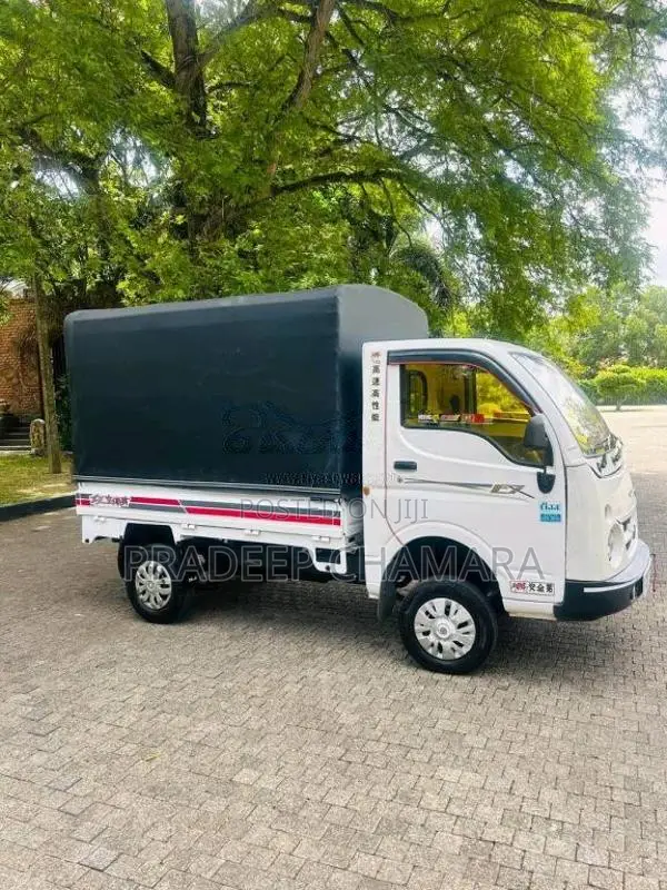 Tata Dimo Batta 2007 Lorry (Used)